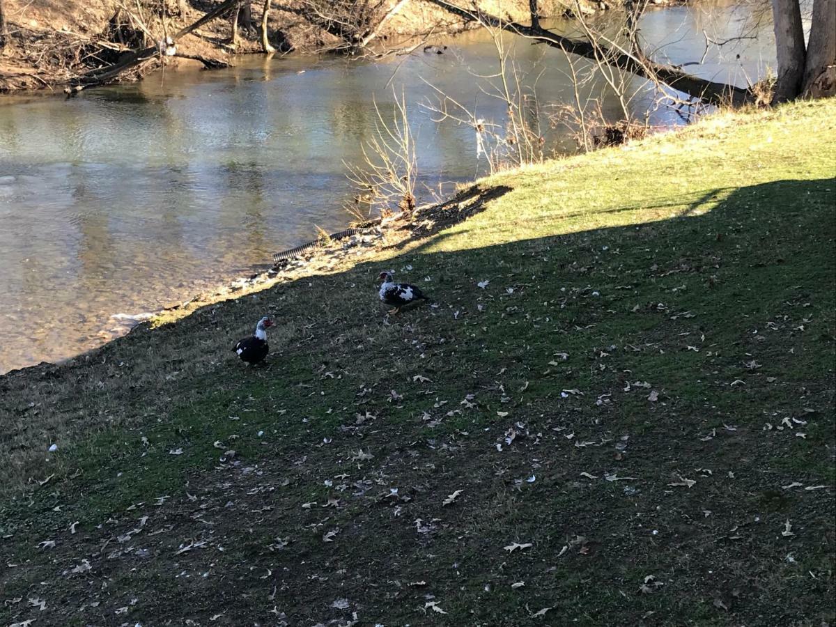 The River Cottage Pigeon Forge Buitenkant foto